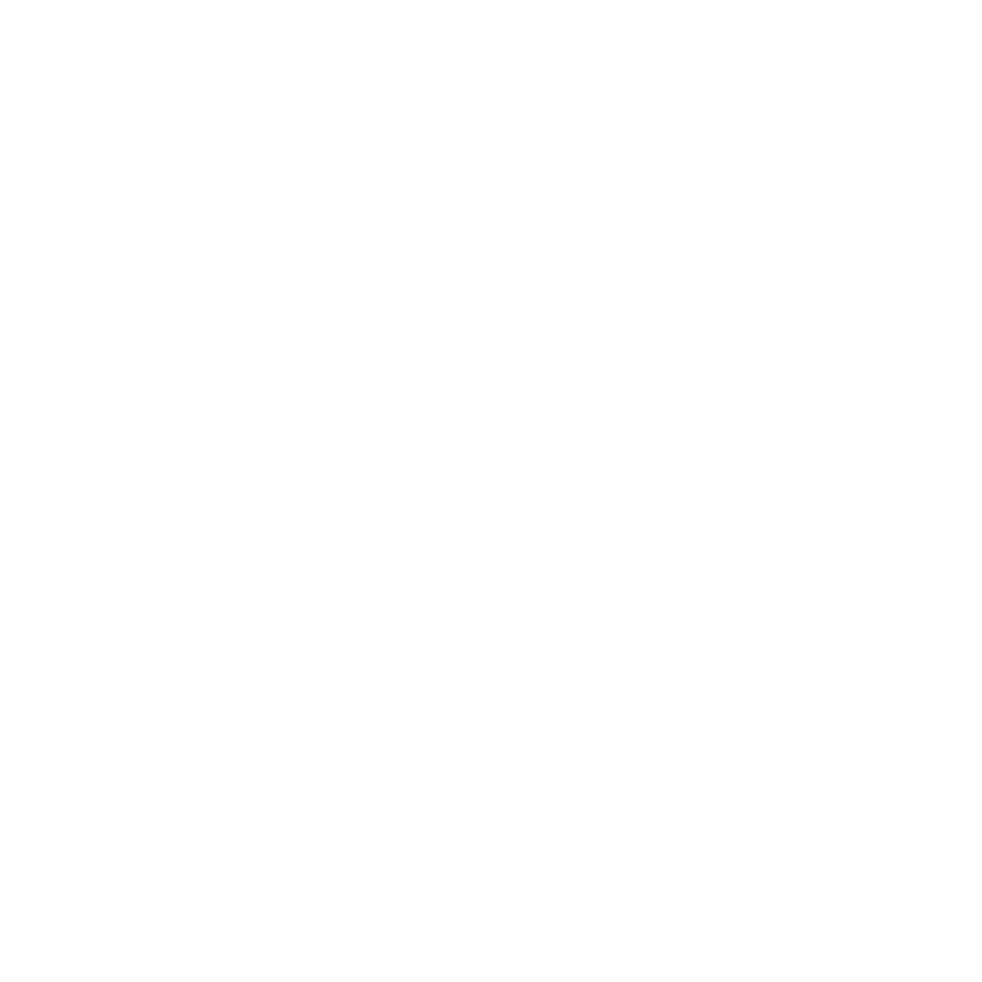 TOYOTA LOGO
